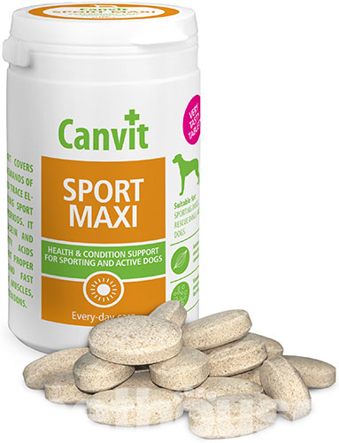 Canvit Sport Maxi, фото 2