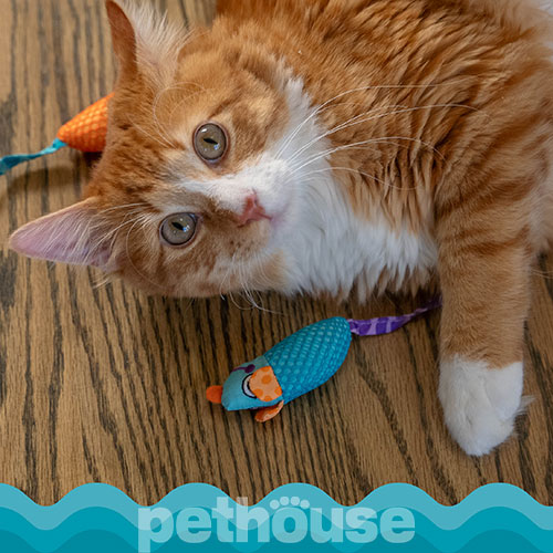 Catstages Catnip Chew Mice Мишки з котячою м'ятою