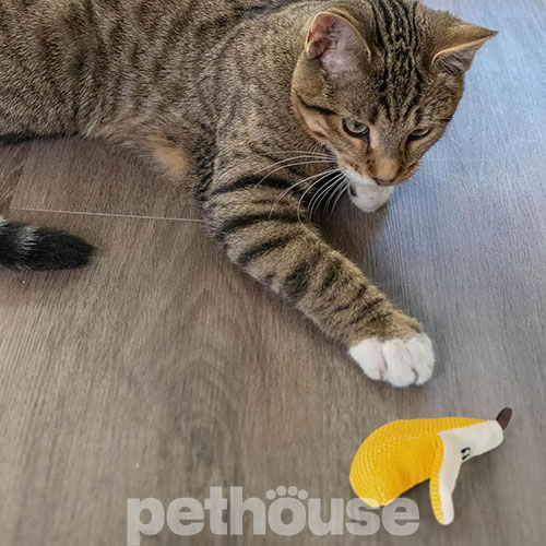 Catstages Dental Banana Іграшка "Банан" для котів