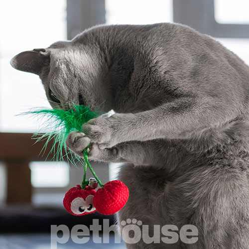 Catstages Dental Cherries Іграшка "Вишні" для котів