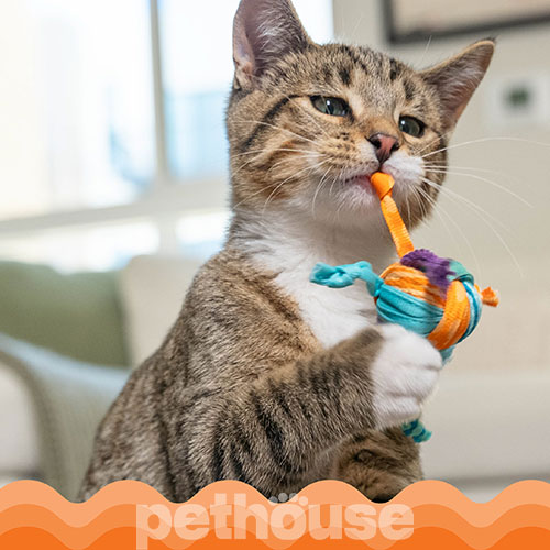 Catstages Catnip Tons of Tails Іграшка "Товсті хвостики" для котів