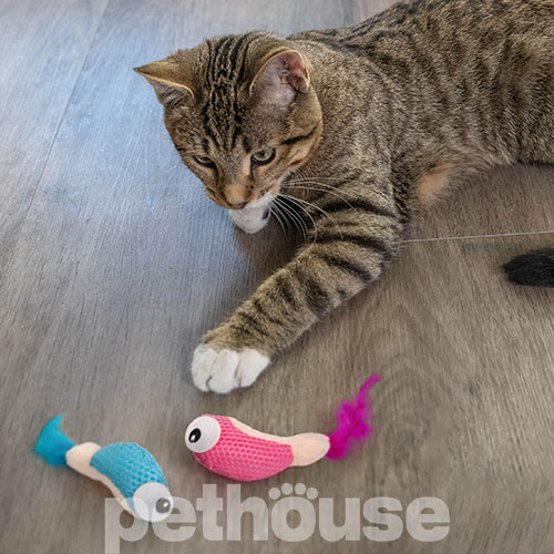 Catstages Dental Shrimpies Іграшка "Креветка" для котів