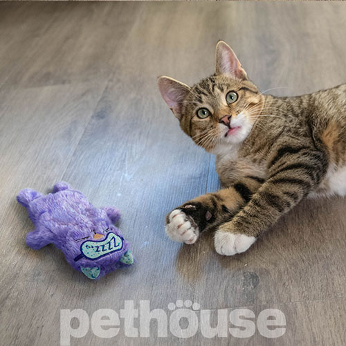 Catstages Purr Pillow Подушка-антистрес "Кіт" зі звуком для котів
