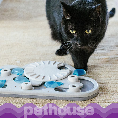 Catstages Rainy Day Puzzle & Play Головоломка "Краплі дощу" для котів