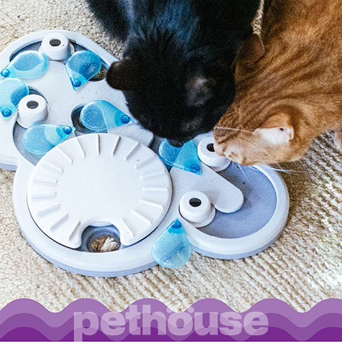 Catstages Rainy Day Puzzle & Play Головоломка "Краплі дощу" для котів