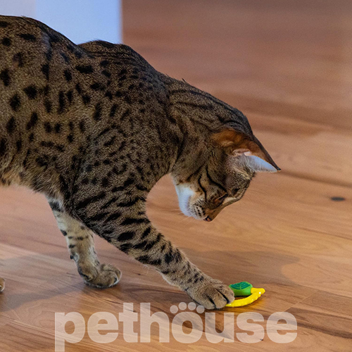 Catstages Lemon Teether Yellow Игрушка для жевания "Лимон" для кошек