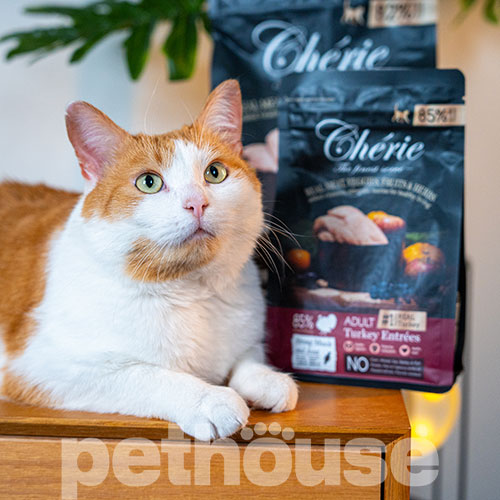 Cherie Cat All Life Stages Healthy Skin and Coat Salmon Entrees