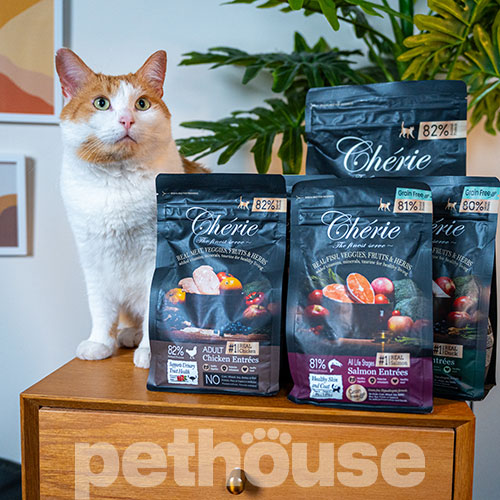 Cherie Cat All Life Stages Healthy Skin and Coat Salmon Entrees