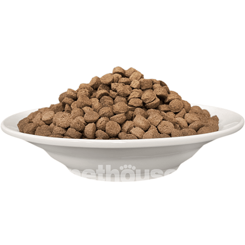 Cherie Cat All Life Stages Healthy Skin and Coat Salmon Entrees