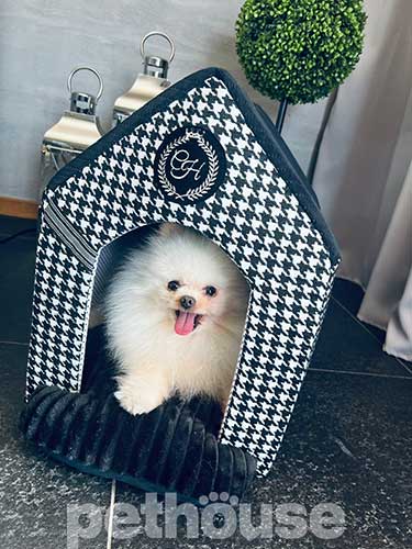 Chloe's Home Positano Black Домик для собак и кошек