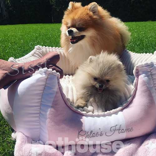 Chloe's Home Monte Carlo Pink Лежак для собак і котів