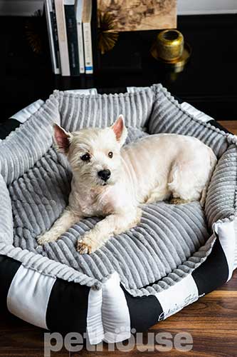 Chloe's Home Monte Carlo Black Лежак для собак і котів