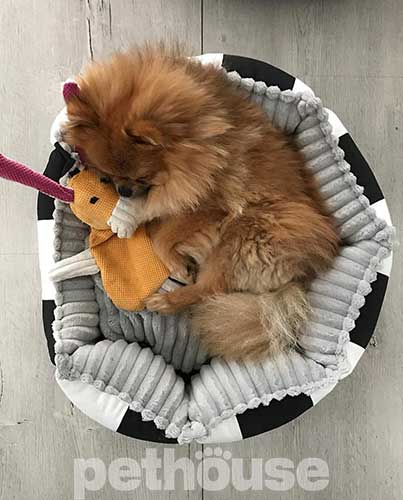Chloe's Home Monte Carlo Black Лежак для собак і котів
