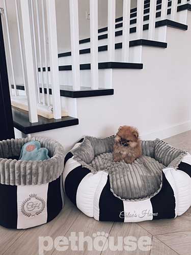 Chloe's Home Monte Carlo Black Лежак для собак і котів