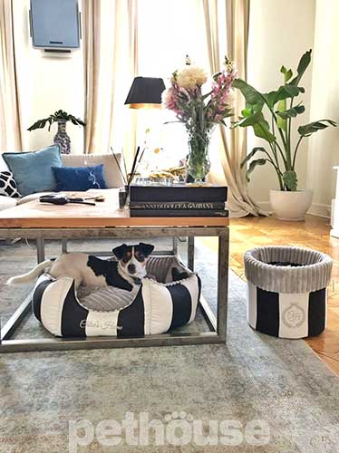Chloe's Home Monte Carlo Black Лежак для собак і котів