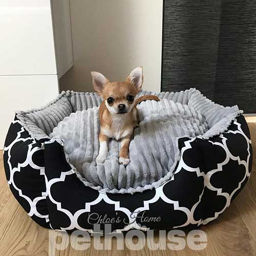 Chloe's Home Rome Black Лежак для собак і котів