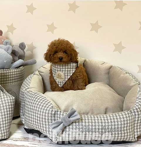 Chloe's Home Berlin Ecru Лежак для собак і котів