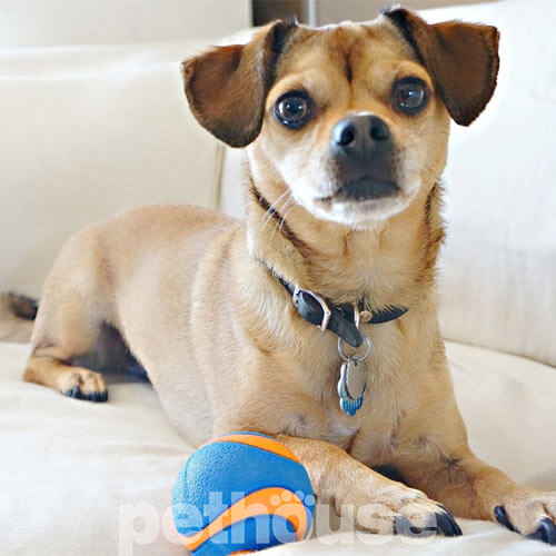 Chuckit! Ultra Squeaker Ball Small Мяч с пищалкой для собак малых пород