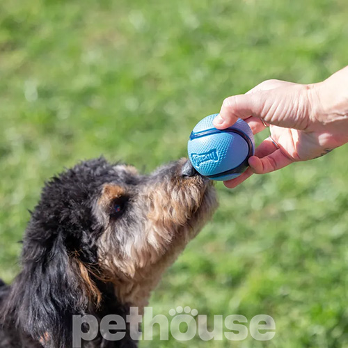 Chuckit! Sniff Fetch Ball Мяч с ароматом бекона
