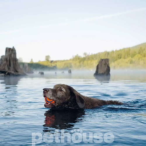 Chuckit! Ultra Ball Large Мяч для собак больших пород