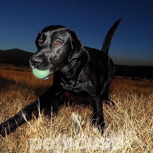 Chuckit! Max Glow Fetch Ball Светящийся в темноте мяч для собак