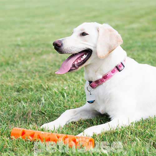 Chuckit! Air Fetch Stick Палка с отверстиями для лакомств для собак