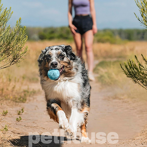 Chuckit! The Whistler Свистящий мяч для собак