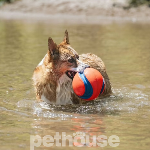 Chuckit! Kick Fetch Суперпрыгающий мяч для собак