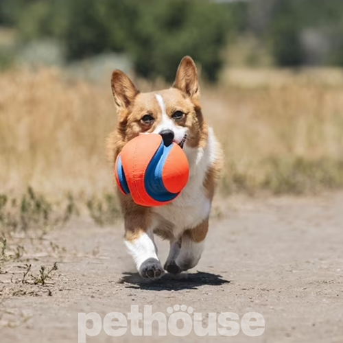 Chuckit! Kick Fetch Суперпрыгающий мяч для собак