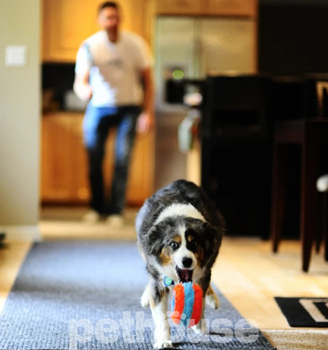 Chuckit! Indoor Ball Пушистое кольцо для собак