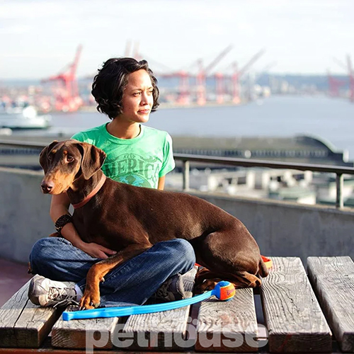 ChuckIt! Sport Launcher Clip Strip M Катапульта с мячом для собак, 63,5 см