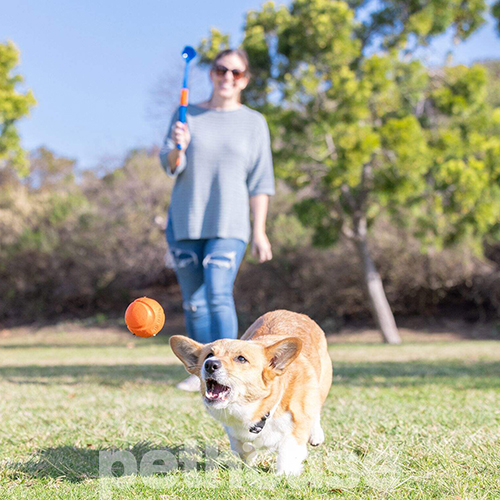 Chuckit! Fetch & Fold Mini Launcher M Складная катапульта с мячом для собак