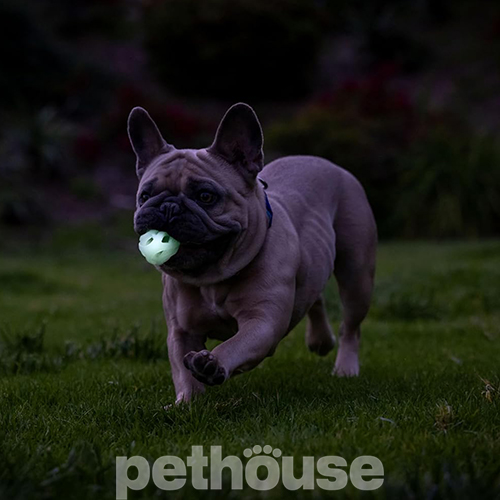 Chuckit! Max Glow Air Fetch Ball Small Набор дишащих светонакопительных мячей для собак