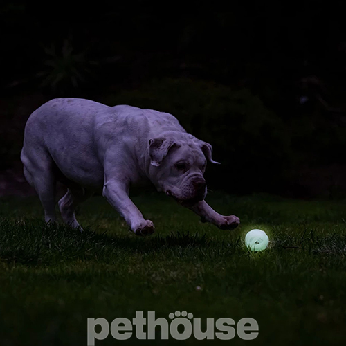 Chuckit! Max Glow Air Fetch Ball Medium Дишащий светонакопительный мяч для собак
