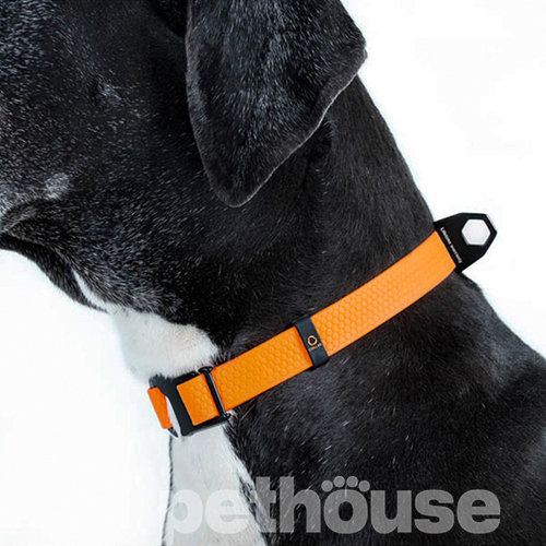 Collar Evolutor Нашийник для собак для собак, помаранчевий