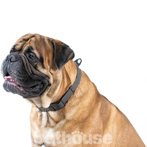 Collar Evolutor Нашийник для собак для собак, чорний