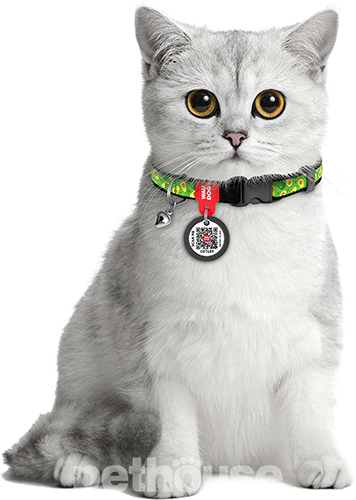 Collar WAUDOG Nylon Нашийник "Авокадо" з QR-паспортом для котів