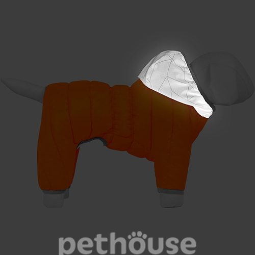 Collar AiryVest One Комбинезон для собак, оранжевый, фото 4
