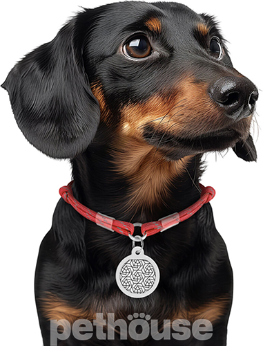 Collar WAUDOG Smart ID Шнурок із паракорду для адресника, світловідбивний, червоний