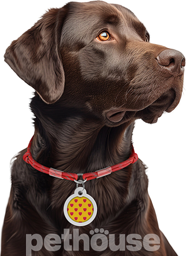 Collar WAUDOG Smart ID Шнурок із паракорду для адресника, світловідбивний, червоний