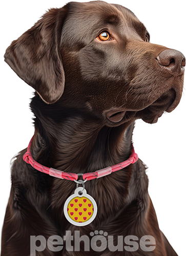 Collar WAUDOG Smart ID Шнурок із паракорду для адресника, світловідбивний, рожевий