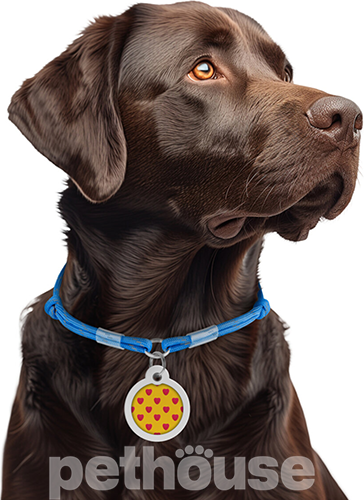 Collar WAUDOG Smart ID Шнурок із паракорду для адресника, світловідбивний, синій