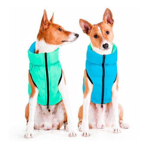 Collar AiryVest Lumi Двостороння курточка для собак, м'ятно-блакитна, фото 6