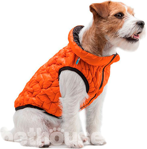 Collar AiryVest UNI Двусторонняя курточка для собак, оранжево-черная, фото 3
