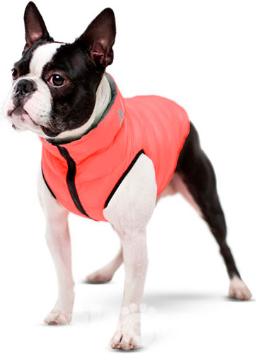 Collar AiryVest Двусторонняя курточка для собак, коралово-серая, фото 3