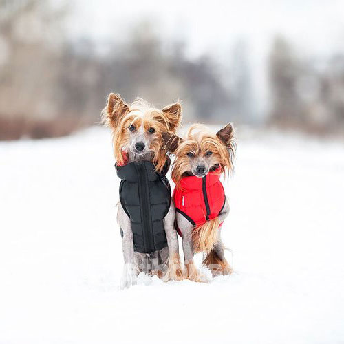 Collar AiryVest Двостороння курточка для собак, червоно-чорна, фото 3
