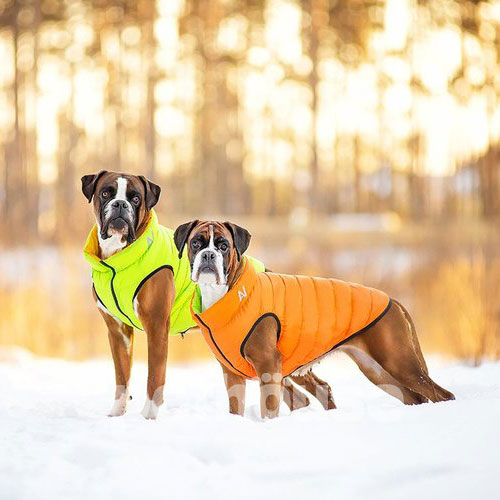 Collar AiryVest Двостороння курточка для собак, помаранчево-салатова, фото 3