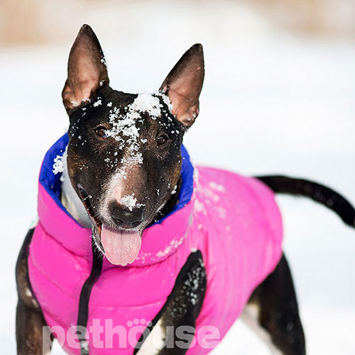 Collar AiryVest Двусторонняя курточка для собак, розово-фиолетовая, фото 3