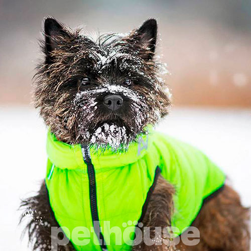 Collar AiryVest Двостороння курточка для собак, салатово-чорна, фото 3