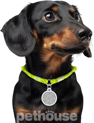 Collar WAUDOG Smart ID Шнурок із паракорду для адресника, світловідбивний, жовтий